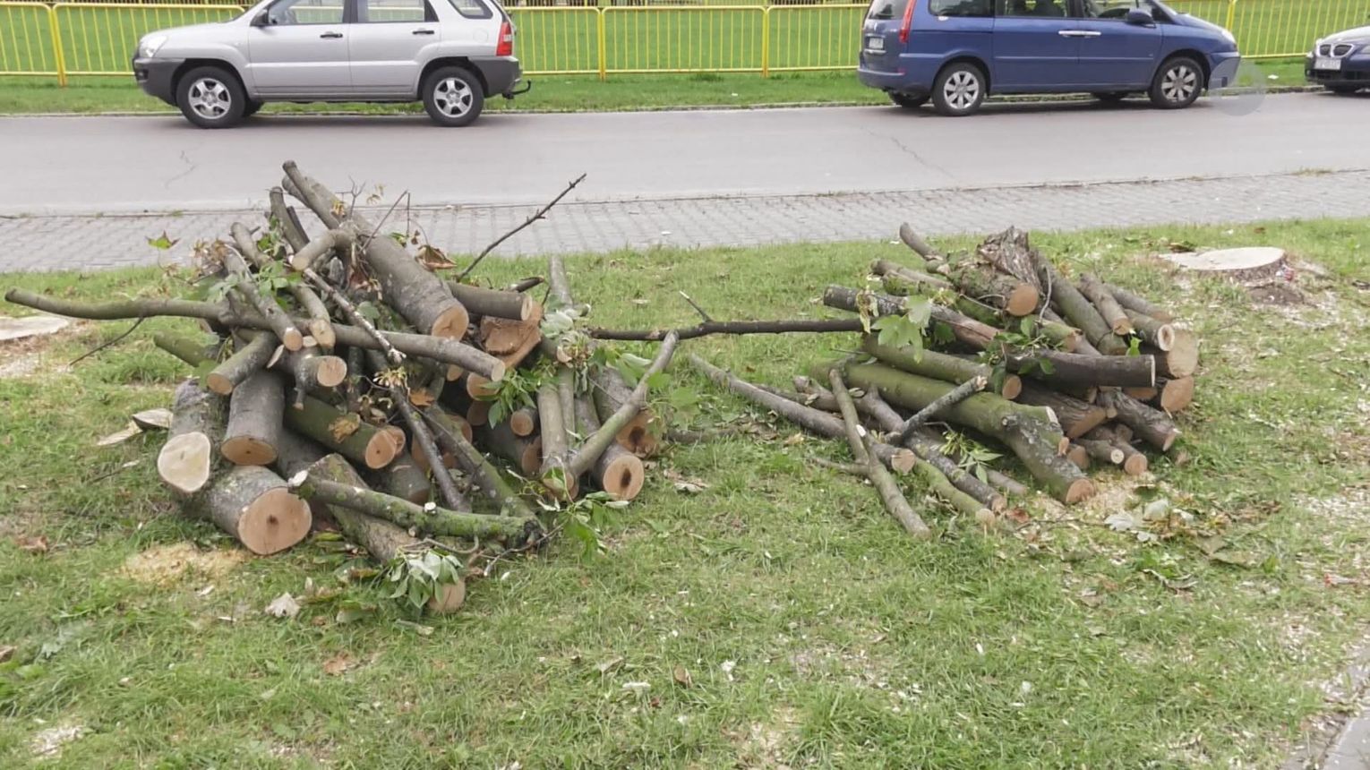 Ostrowiec Kto I Dlaczego Wyci Drzewa Na Ogrodach