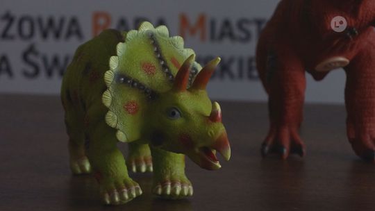 350 figurek z Ostrowca Świętokrzyskiego trafi do dzieci w Gambii