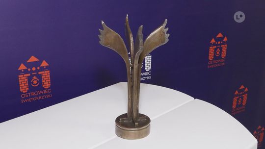 50 zgłoszeń do plebiscytu Żelazne Skrzydła Biznesu. Gala 27 lutego