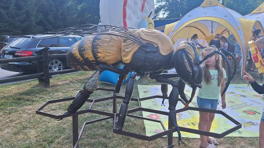 BAŁTÓW | Pszczoły, miód i tradycja podczas XVIII Święta Pszczoły