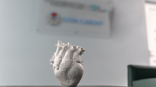 Bezpłatne konsultacje kardiologiczne w Ostrowcu Świętokrzyskim