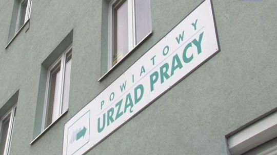 Bezrobotni podzieleni na kategorie