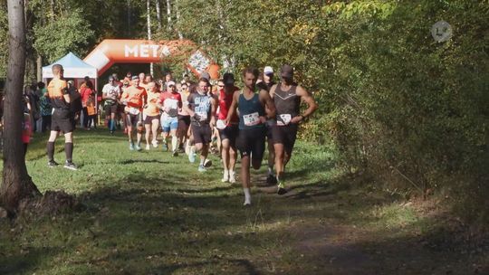 Biegali wśród drzew. Półmaraton Leśny znów przyciągnął biegaczy