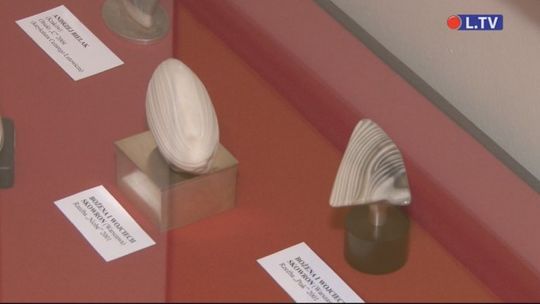 Biżuteria z polskim diamentem zachwyciła ostrowczan