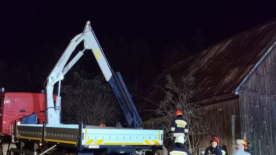 Bodzechów: Strażacy uratowali klacz
