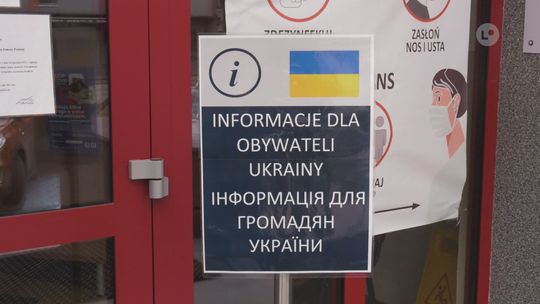 Czworonogi z Ukrainy potrzebują pomocy