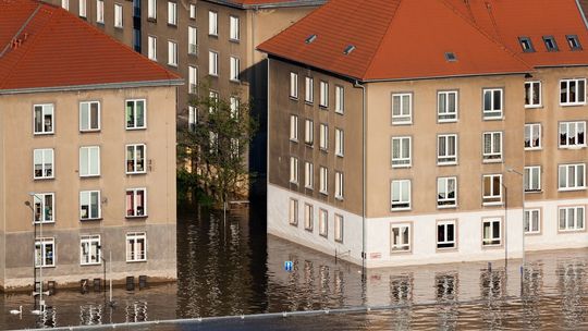 Dezynfekcja po zalaniu – jak się za to zabrać?