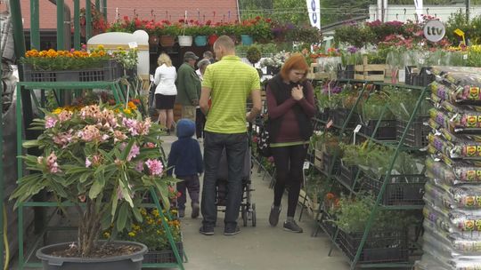  Dzień otwarty w centrum ogrodniczym Medax 