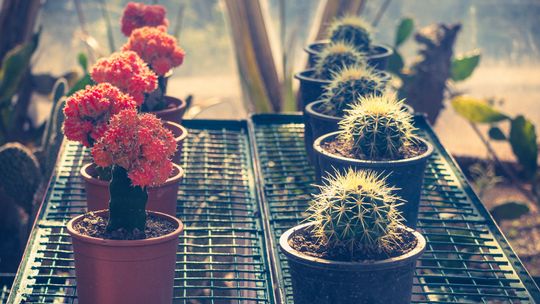 Elegancja i funkcjonalność na zewnątrz - sekrety ogrzewaczy ogrodowych