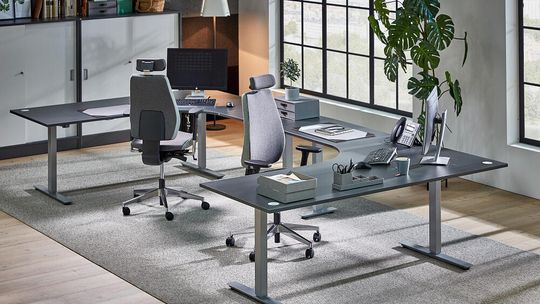 Jak poprawić ergonomię w biurze za pomocą podstawowych mebli i dekoracji