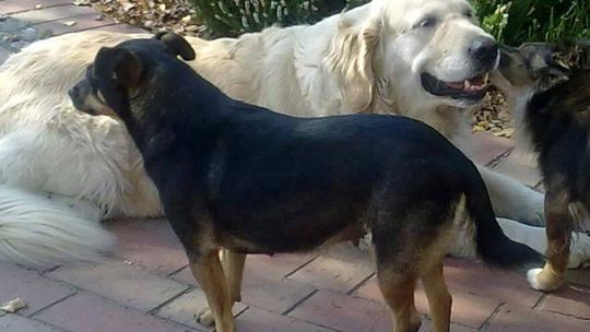 Kropka się znalazła!