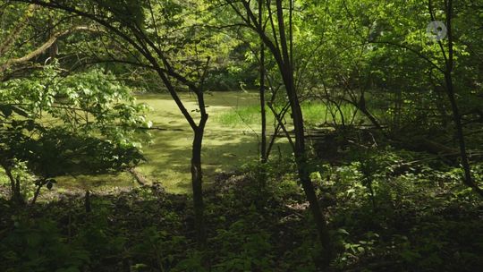 Krzemionki Opatowskie bliżej Europejskiego Dyplomu po pozytywnej opinii komisji