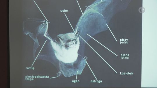 Kto kryje się w mroku? Przed nami kolejna sobota w muzeum