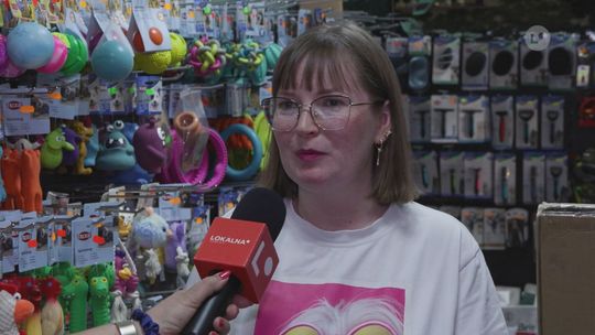 Dziś obchodzimy Dzień Psa. Jak dbać o pupila?