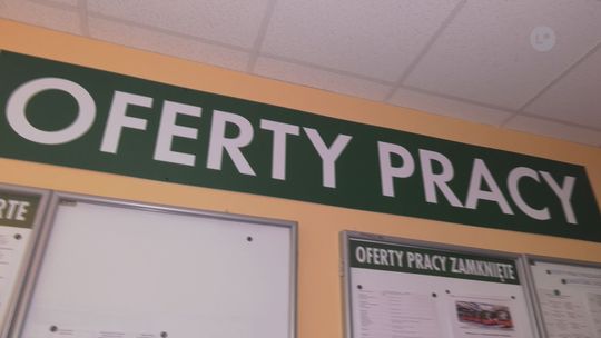 M. Stafijowska: Rośnie liczba ofert pracy