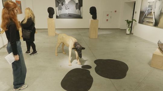 Od Chaosu do LOOSTRA — wystawa zamyka jubileusz 30‑lecia BWA Ostrowiec Świętokrzyski