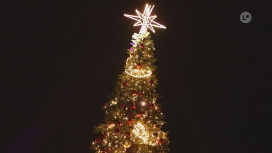 Ostrowiec rozświetlił sezon świąteczny na Rynku Ostrowiec rozświetlił sezon świąteczny na Rynku