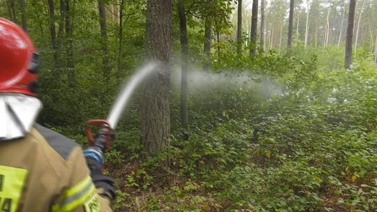 Ostrowieccy strażacy ćwiczą walkę z żywiołem