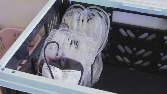 OŻARÓW | Przelewamy krew dla świętokrzyskiego