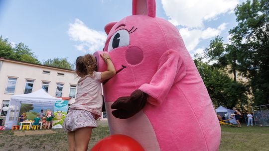 Pikniki z Czyściochami