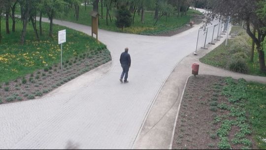 Policja poszukuje gwałciciela (FILM, ZDJĘCIA)