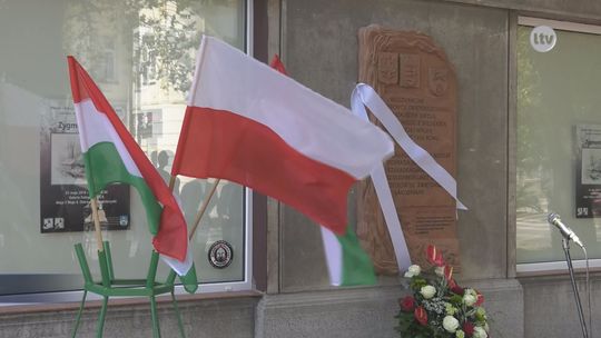 Polska krew w węgierskich żyłach