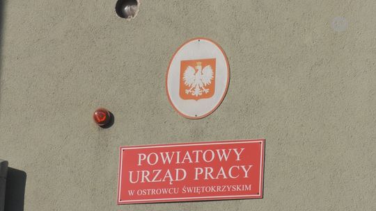 Ponad 200 skierowań wydał PUP na staże