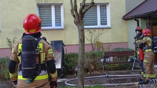 Pożar w mieszkania. Szybka akcja straży, jedna osoba hospitalizowana, przyczyna wyjaśniana Pożar w mieszkania. Szybka akcja straży, jedna osoba hospitalizowana, przyczyna wyjaśniana