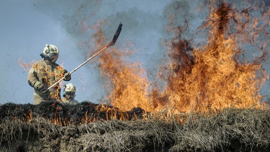 Pracowite święta strażaków