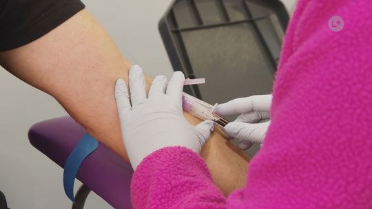 Pracownicy „porcelany” skorzystali z bezpłatnych badań profilaktycznych w miejscu pracy