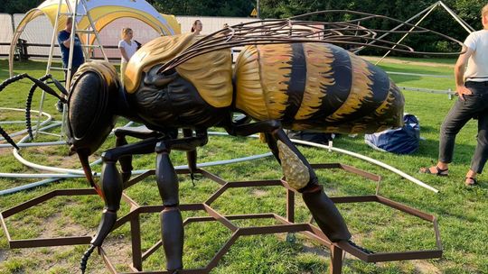 Pszczelarze i miłośnicy pszczelego dzieła spotkają się w Bałtowie