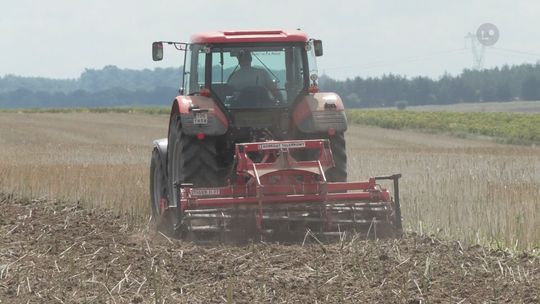 Rolnicy wyjechali w pola. Rozpoczęły się żniwa