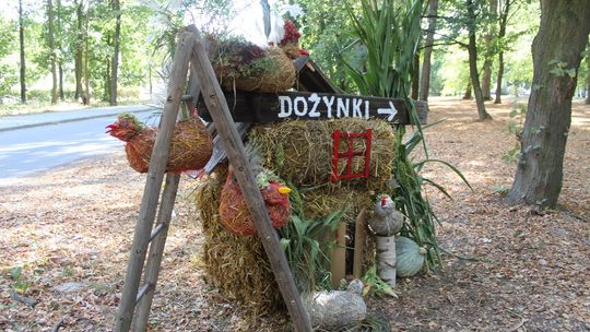 Rolnicy z gminy Bałtów podziękują za plony