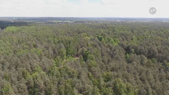 Rozmawiali o zagrożeniach dla przyrody