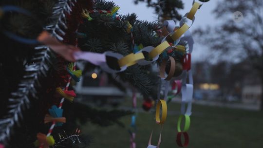 Rozświetlenie Choinki na Osiedlu Ogrody Rozświetlenie Choinki na Osiedlu Ogrody