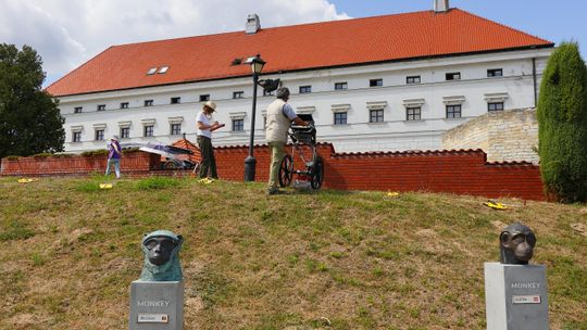 Sandomierz: Rozpoczął się kolejny etap badań nieinwazyjnych na wzgórzu zamkowym 