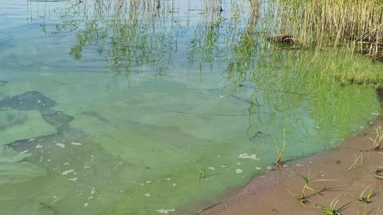 Sanepid ostrzega: woda w kąpielisku Lubianka nie nadaje się do kąpieli