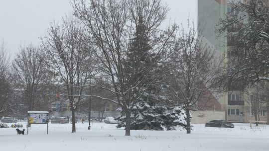 Sąsiedzka gwiazdka już w czwartek