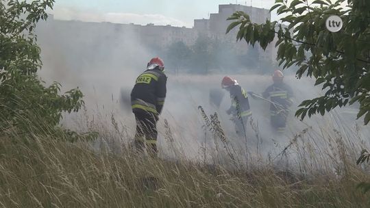 Seria podpaleń w mieście. Ostrowieccy strażacy walczą z ogniem
