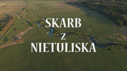 Skarb z Nietuliska