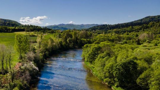 Spływ Sanem z dziećmi – bezpieczeństwo i praktyczne wskazówki Spływ Sanem z dziećmi – bezpieczeństwo i praktyczne wskazówki
