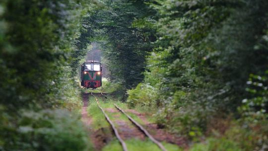Starachowicka Kolej Wąskotorowa wraca na tory