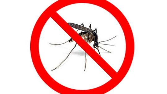 Stop komarom!