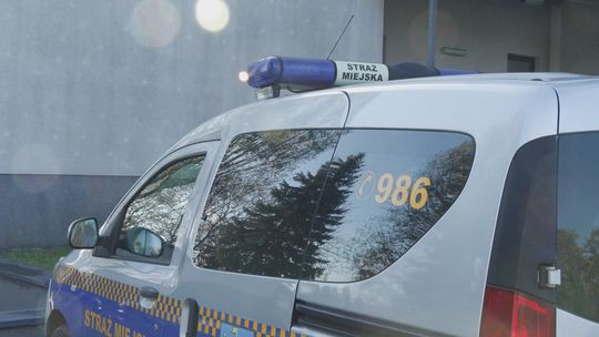 Straż Miejska przypomina — spalanie odpadów podlega karze grzywny