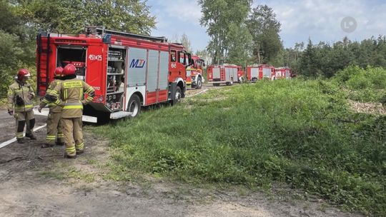 Strażacy ćwiczyli gaszenie lasu