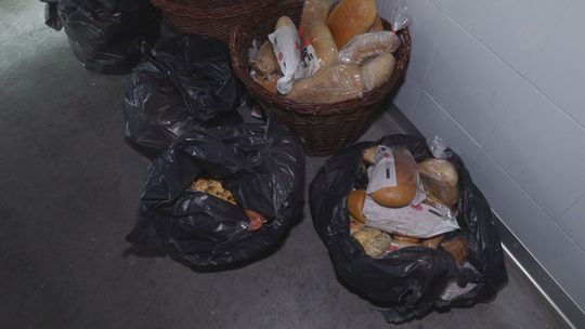 Światowy Dzień Żywności: jak Polska marnuje jedzenie i co z tym zrobić