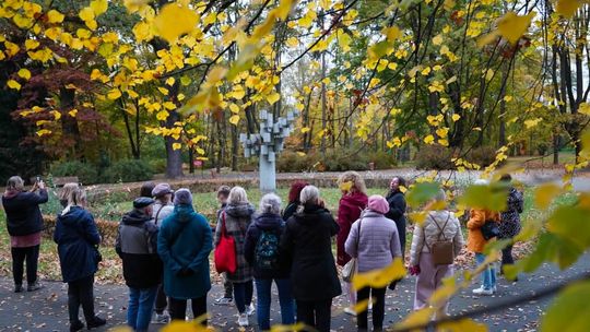 Sztuka i natura w Parku Miejskim