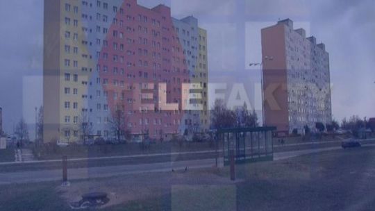 TELEFAKTY - 11.01.2013 r.