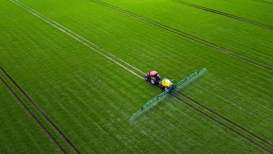 Trawy pastwiskowe na użytki zielone