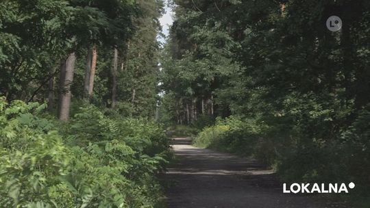 Tymczasowy zakaz wstępu do lasu